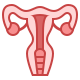 Child (Bladder)