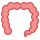 Child (Bowel)