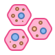 Child (Neural)